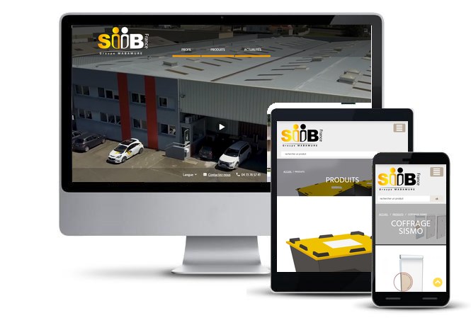 SIIB France